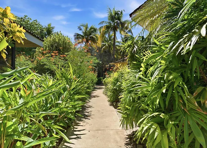 Snorkel Paradise Condo, Pool, Steps To The Holiday home